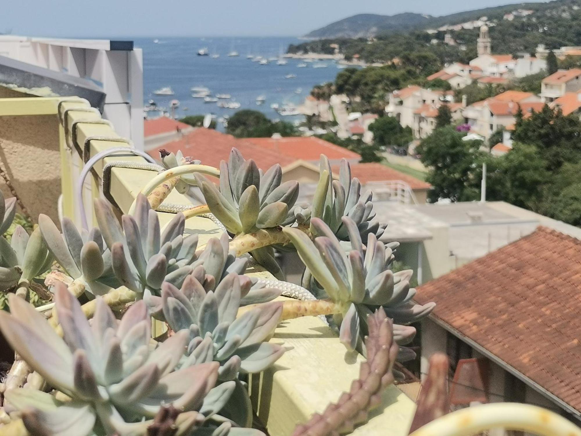 Apartments Green & Orange Hvar Town Kültér fotó